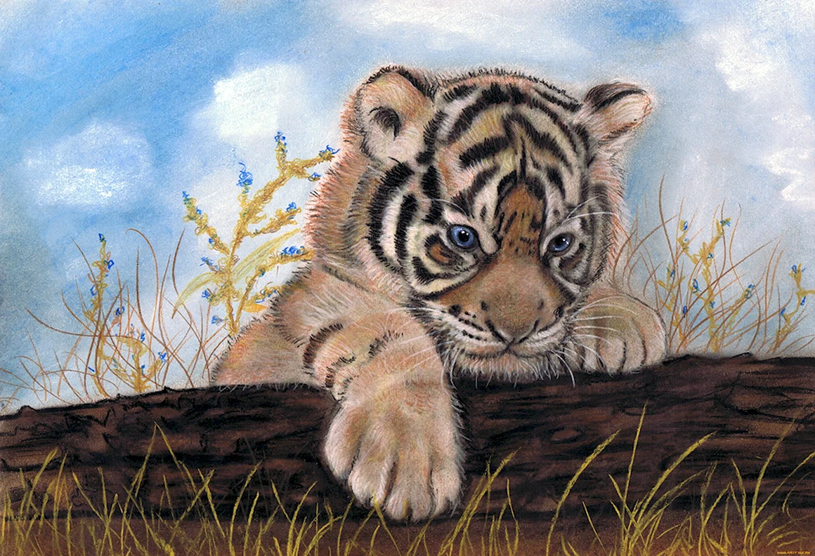 Рисунки животных