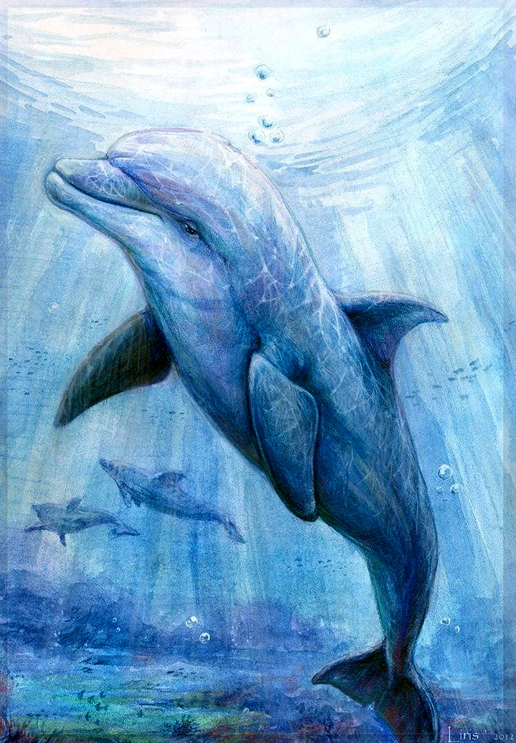 Рисунок дельфина