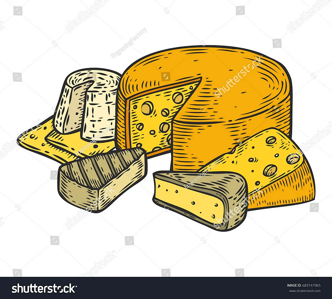 Рисунок сыра латвийского