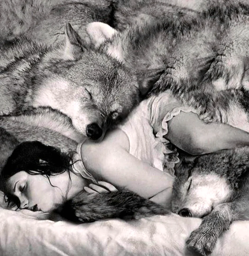 Robin Isely