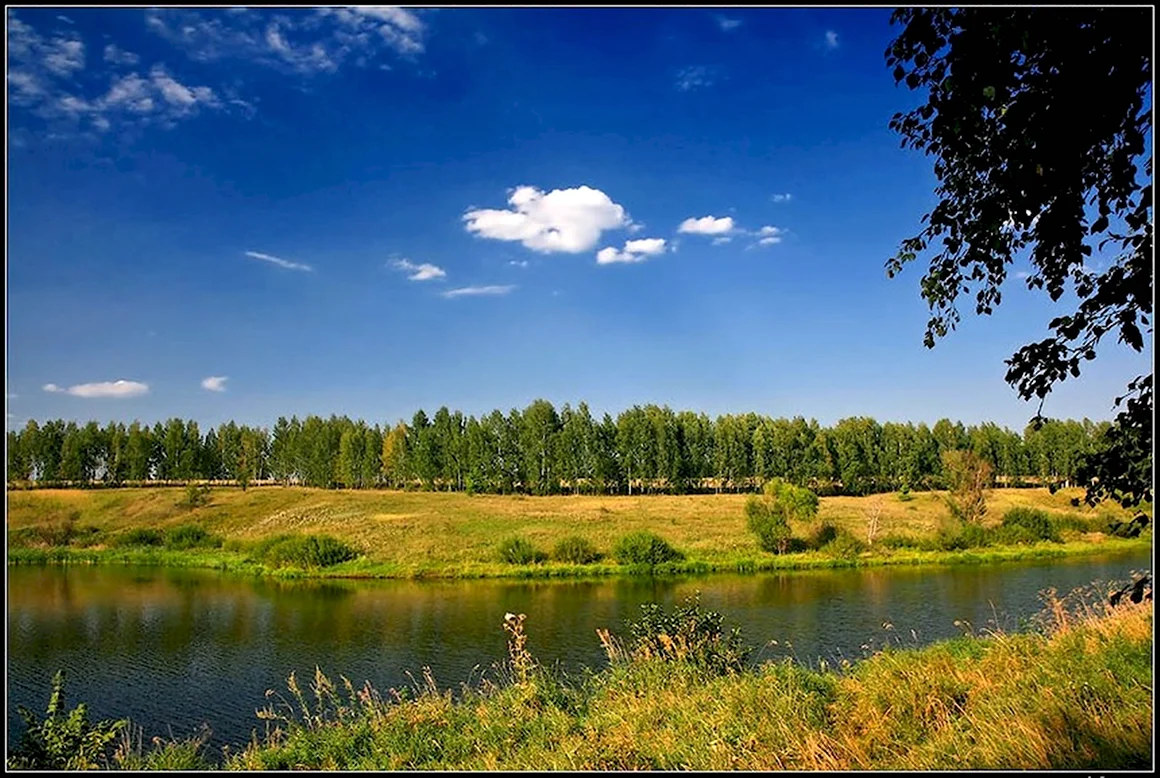 Родина природа