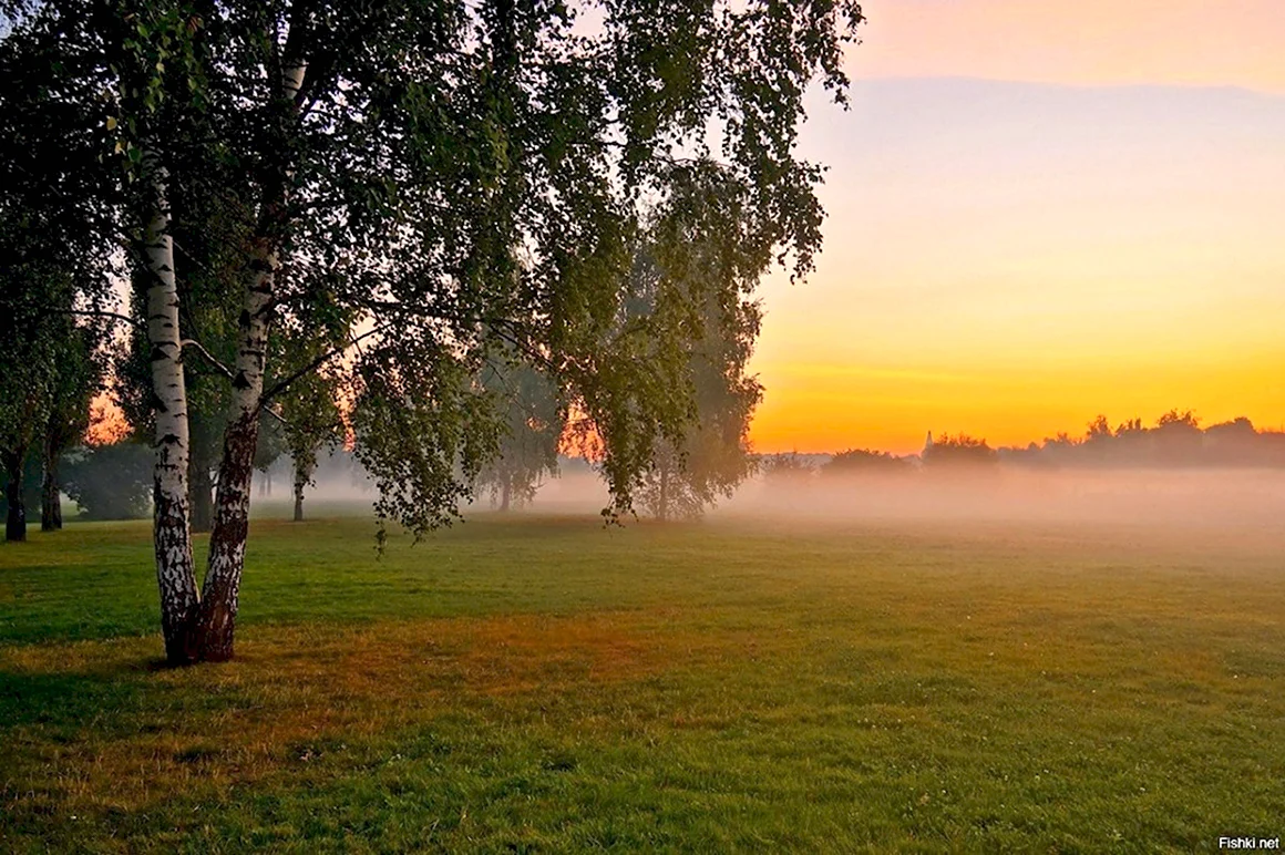 Родина природа
