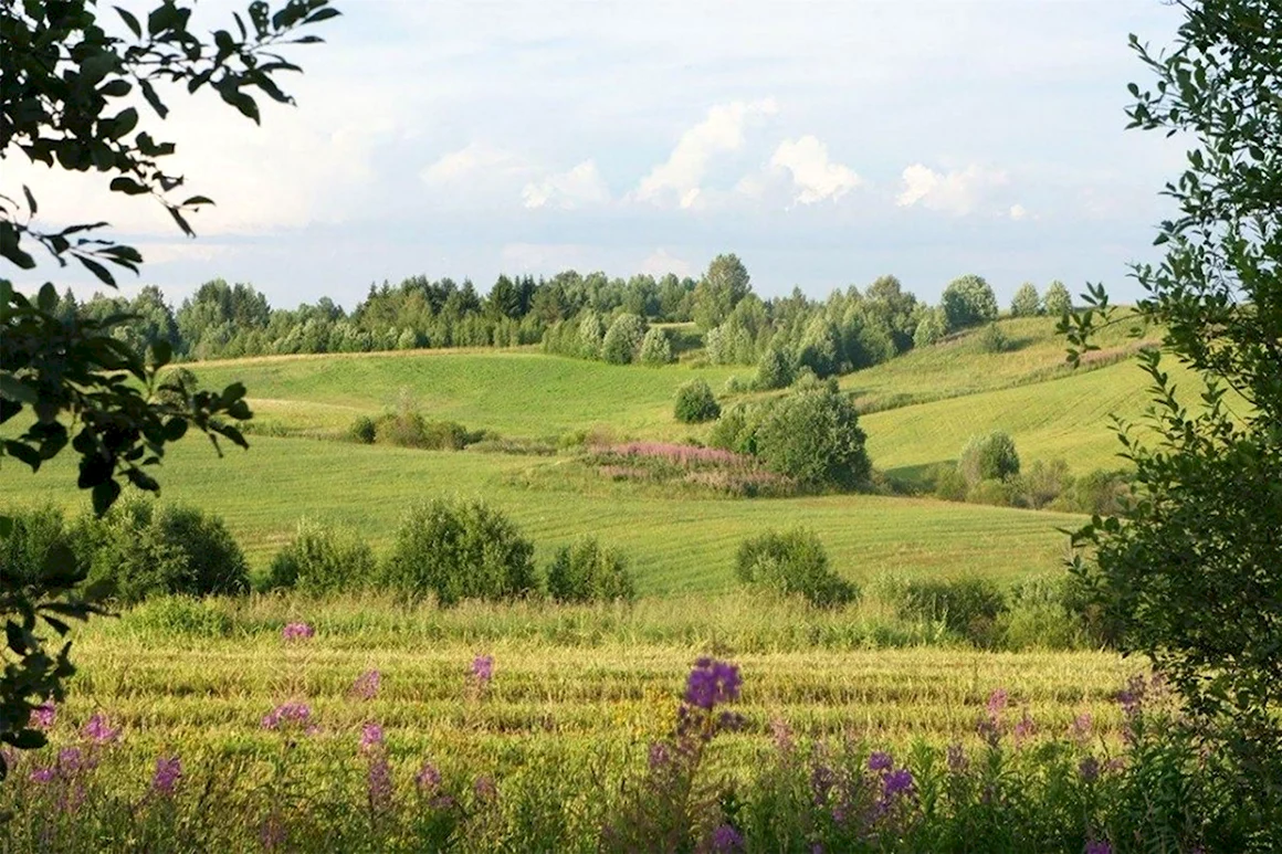 Родина природа