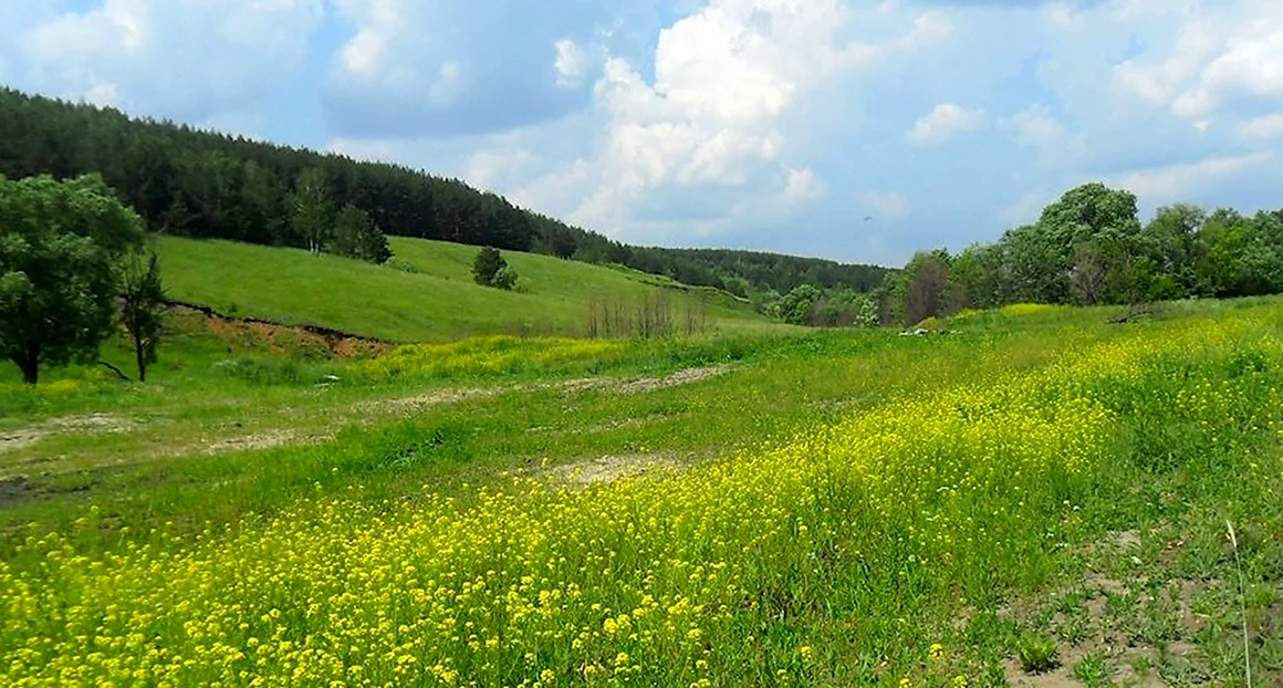 Родной край