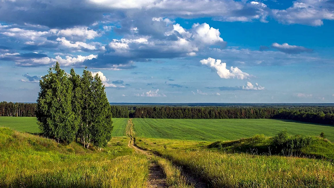 Родные просторы Пушгоры панорама