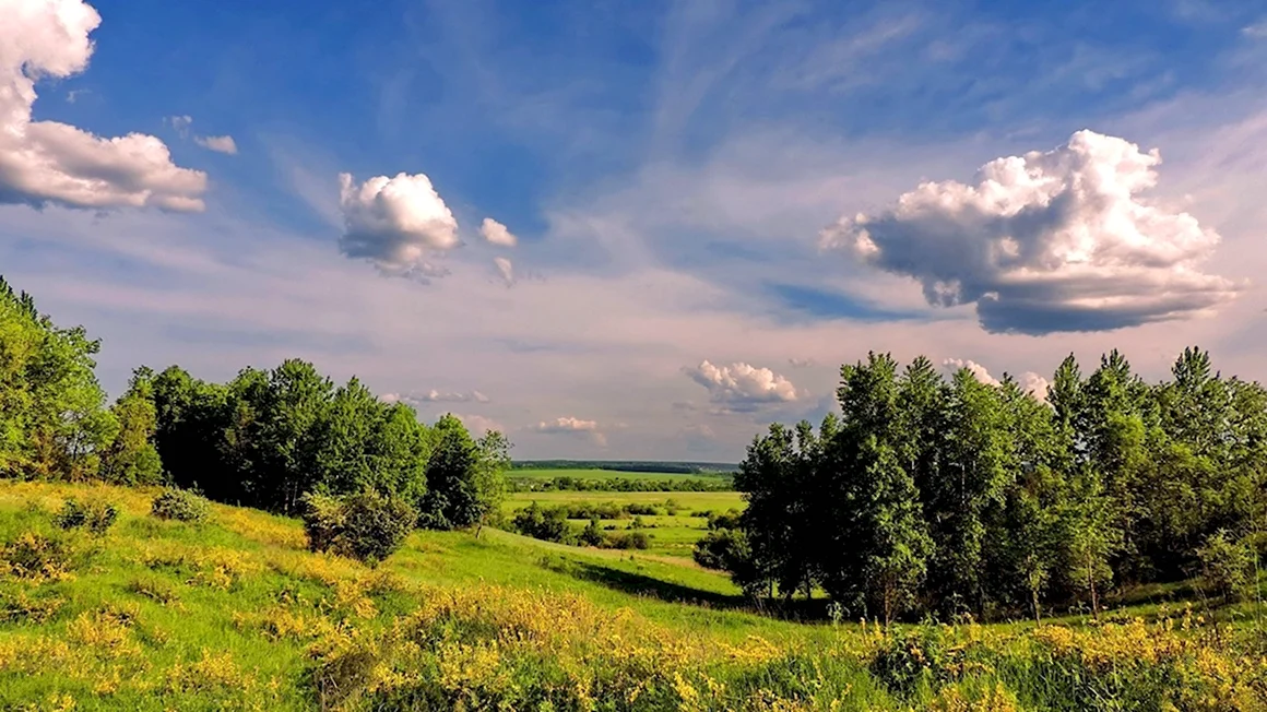 Родные просторы Пушгоры панорама
