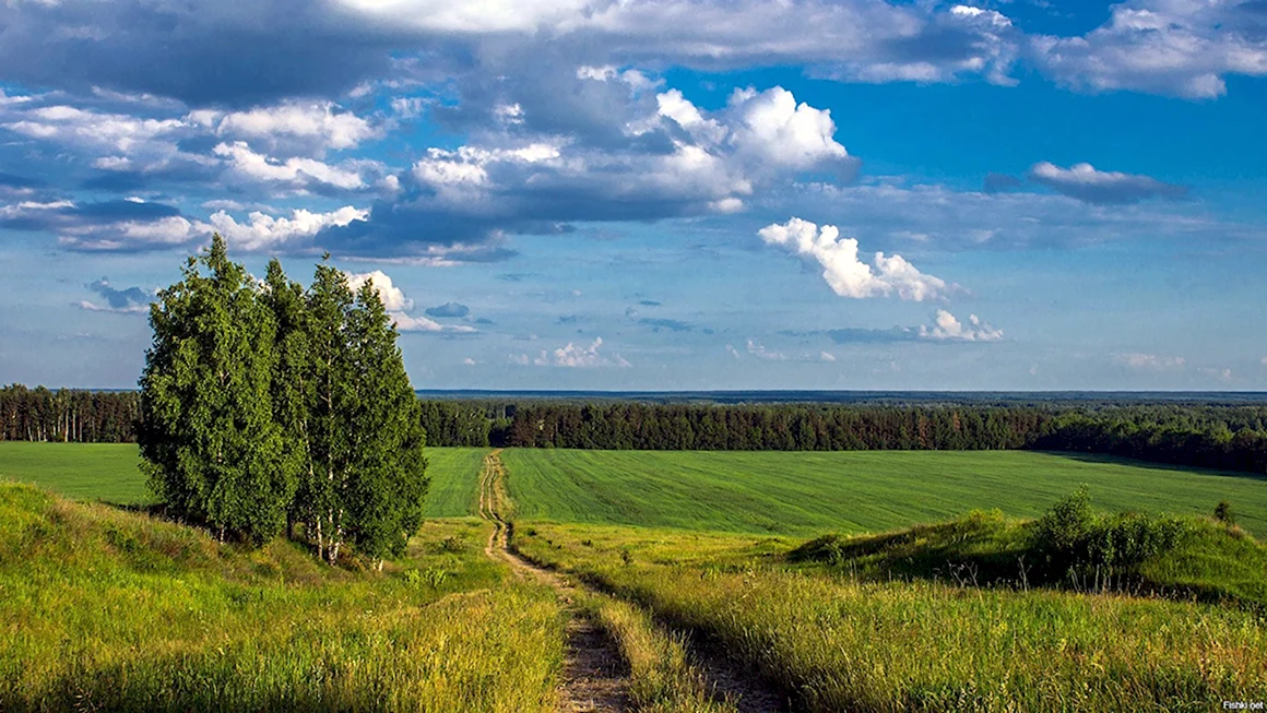 Родные просторы Пушгоры панорама