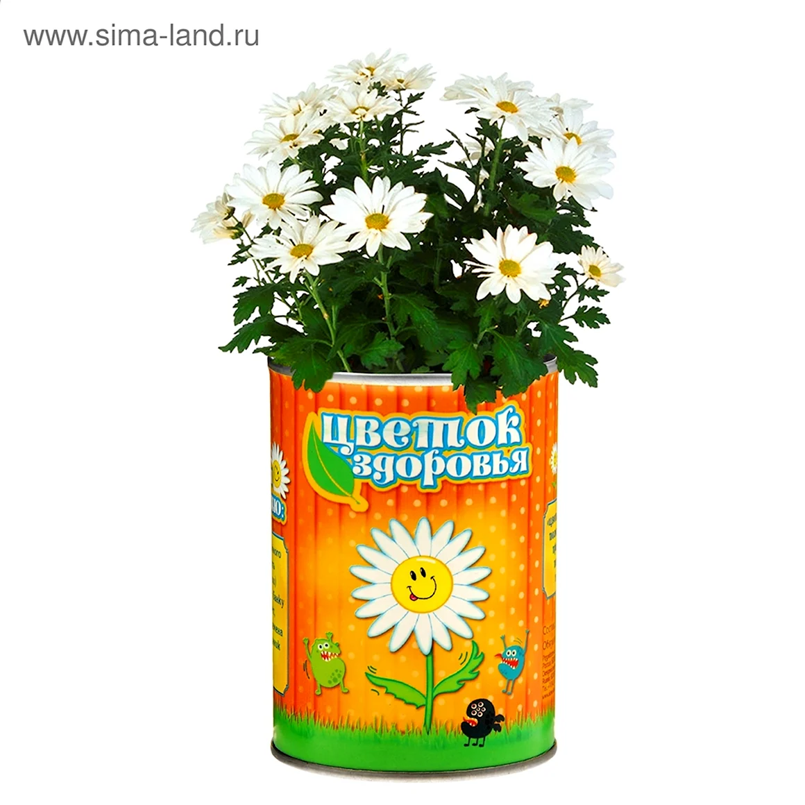 Ромашка здоровья