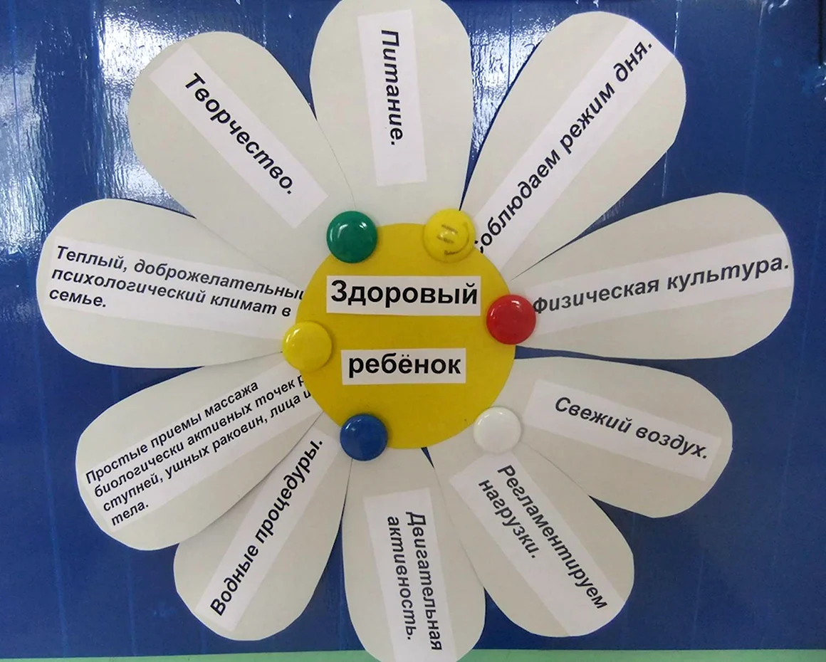 Ромашка здорового образа жизни