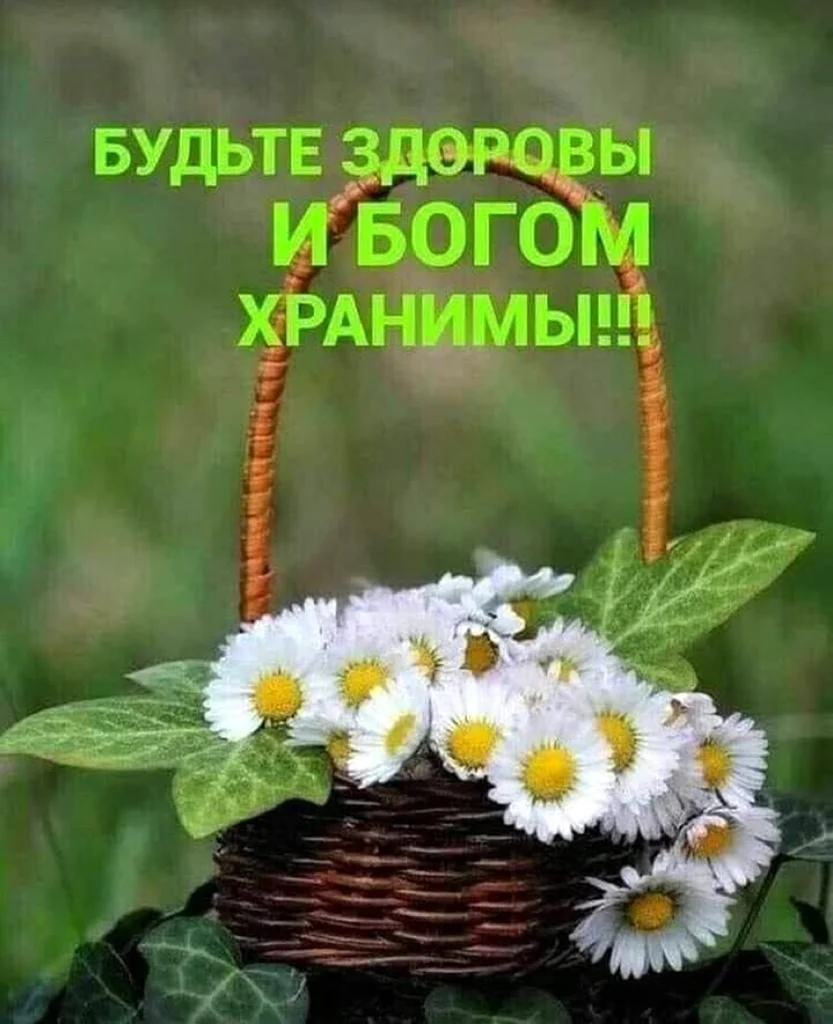 Ромашки в корзине