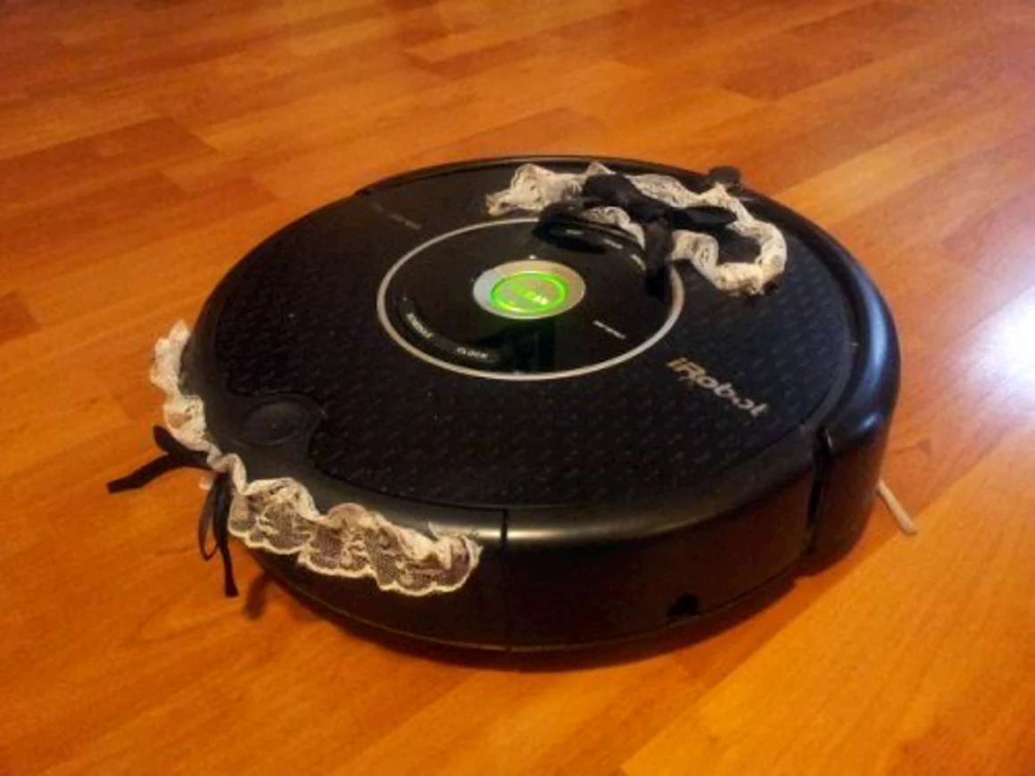 Roomba 200