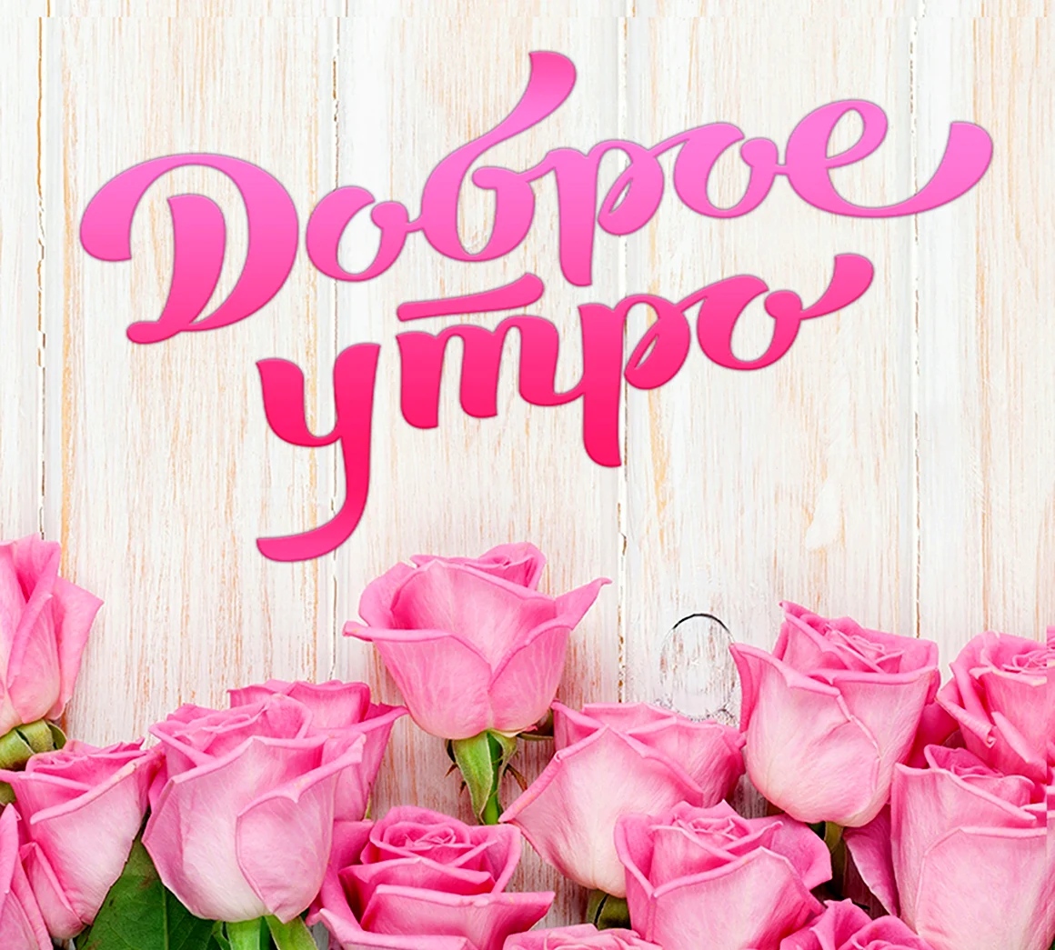 Розовые розы с добрым утром