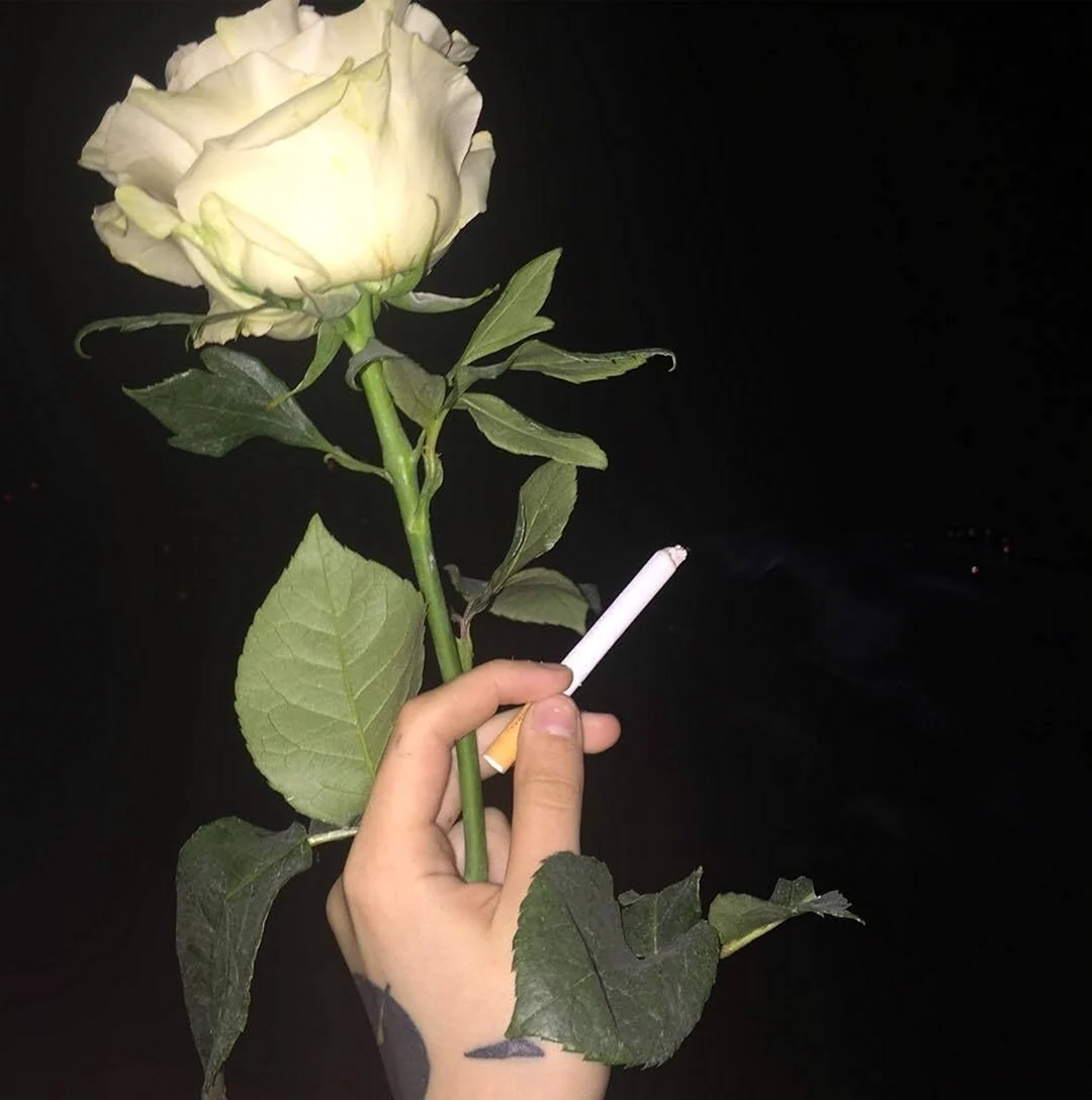 Розы сохраненки