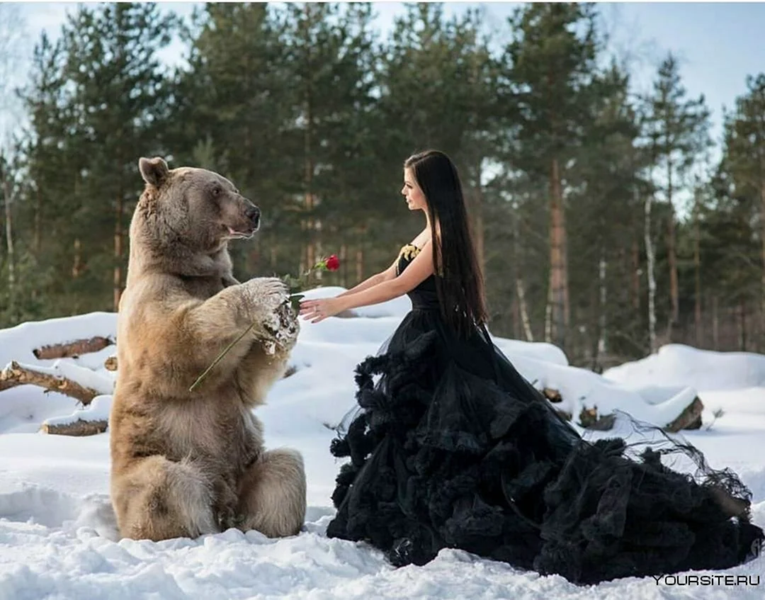 Русская девушка с медведем