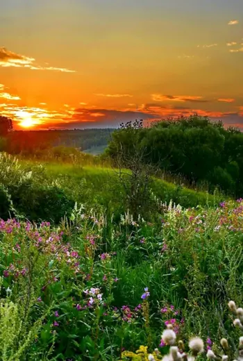 Русская природа
