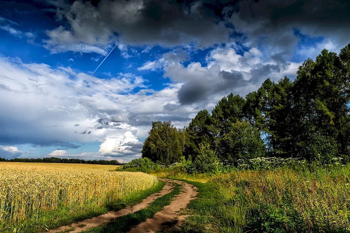 Русская природа