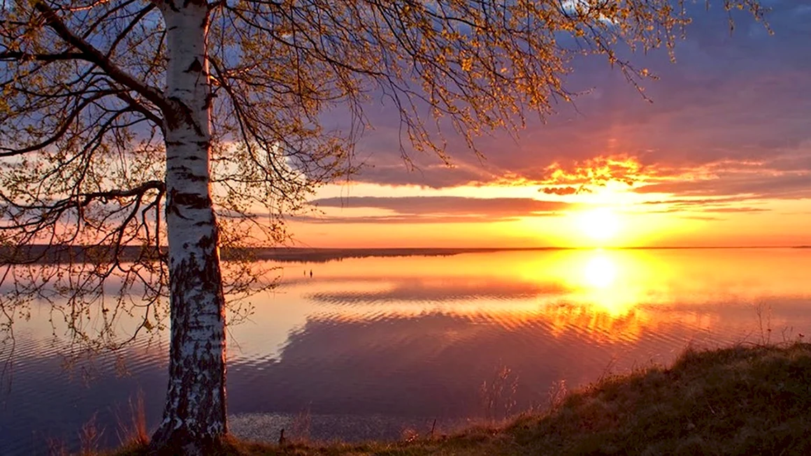Русская природа