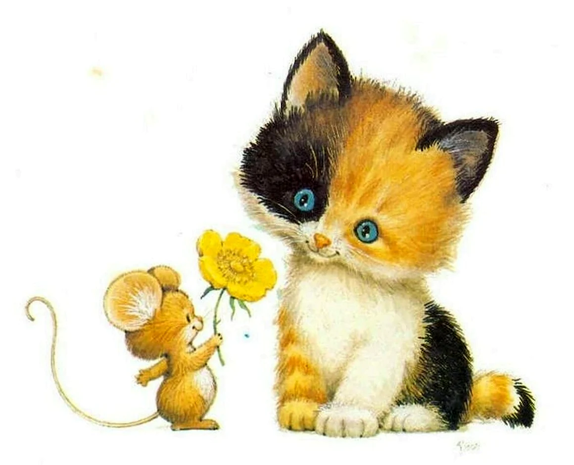 Ruth Morehead котенок