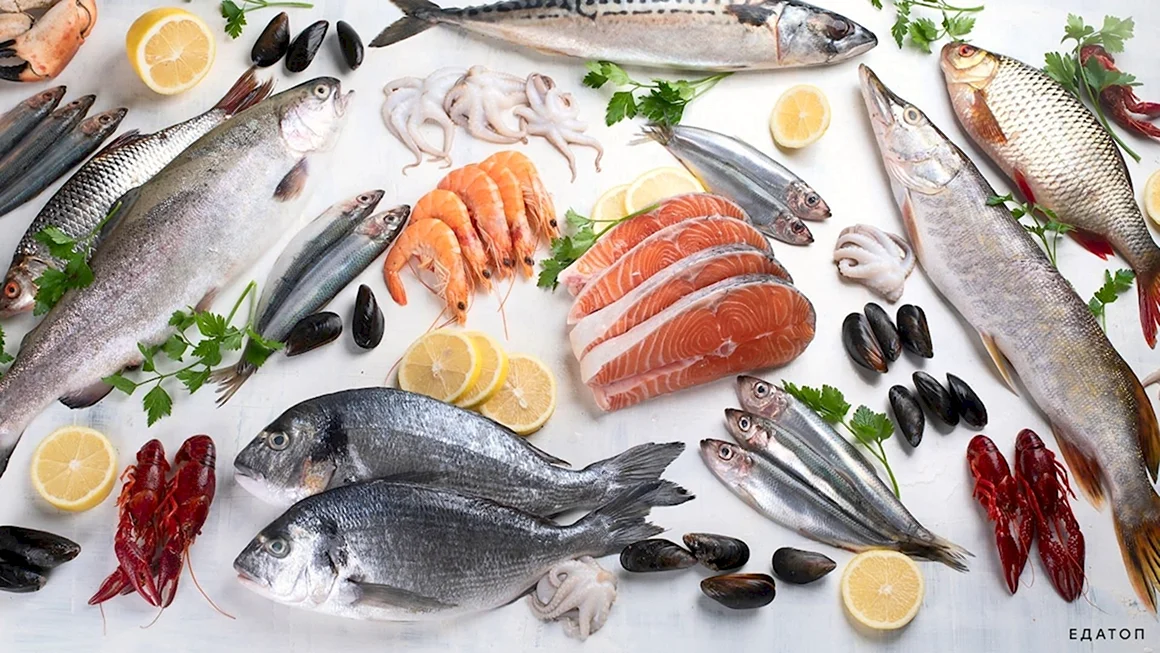 Рыба и морепродукты