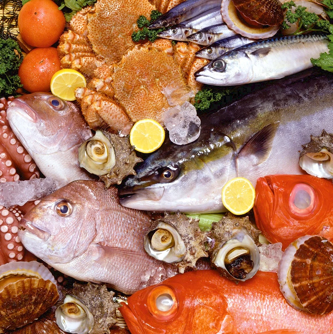 Рыба и морепродукты