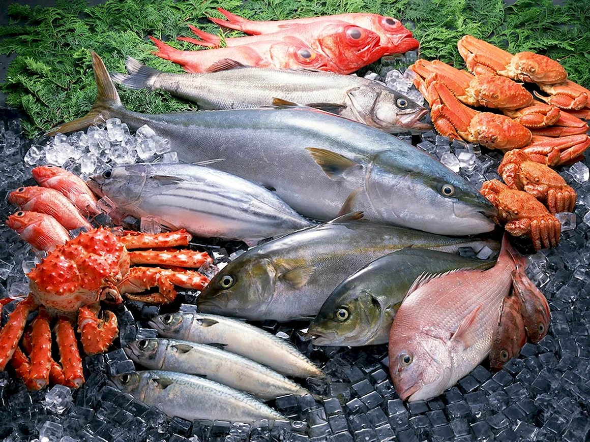 Рыба морская свежемороженая