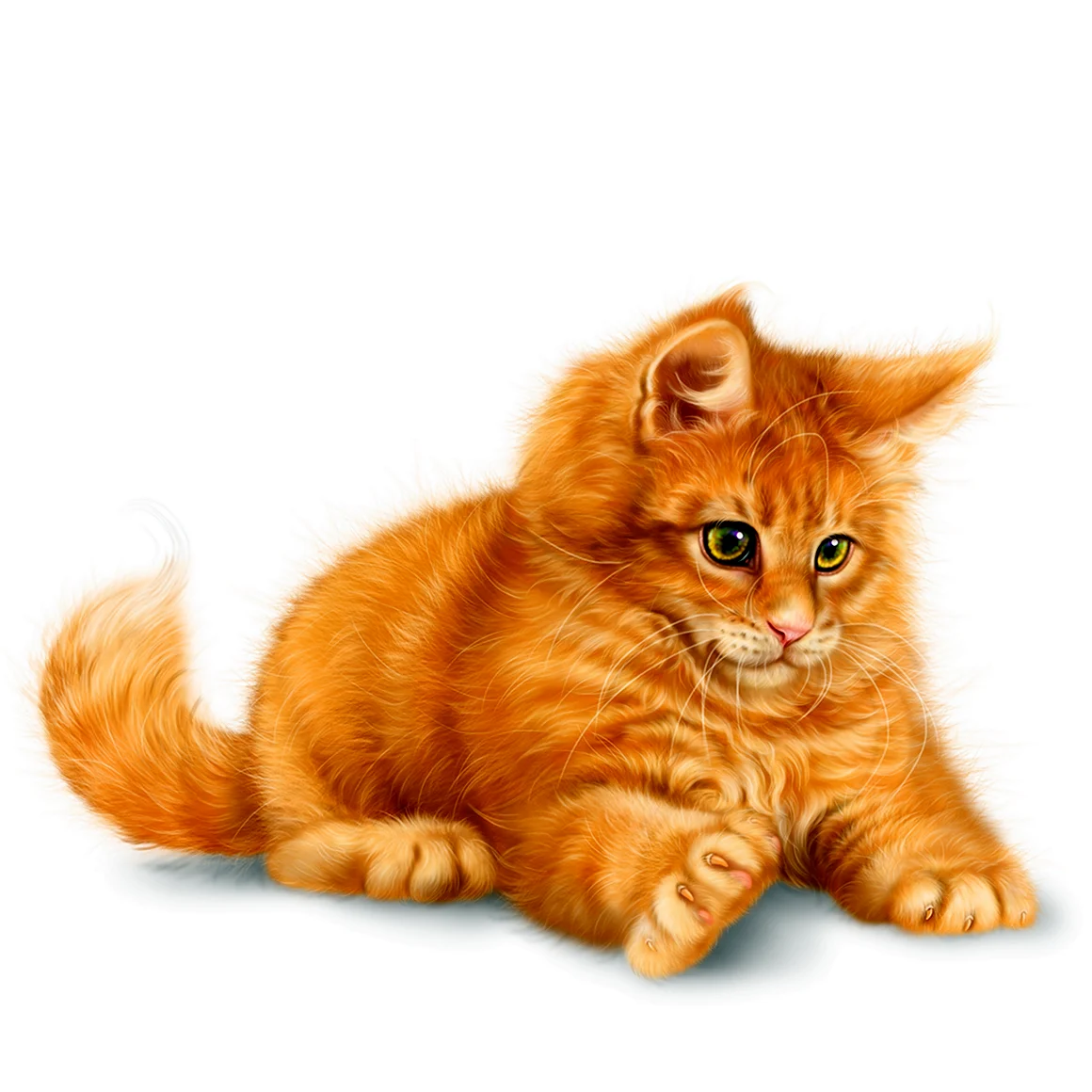 Рыжий кот