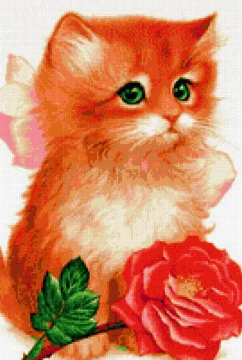 Рыжий котёнок с розой