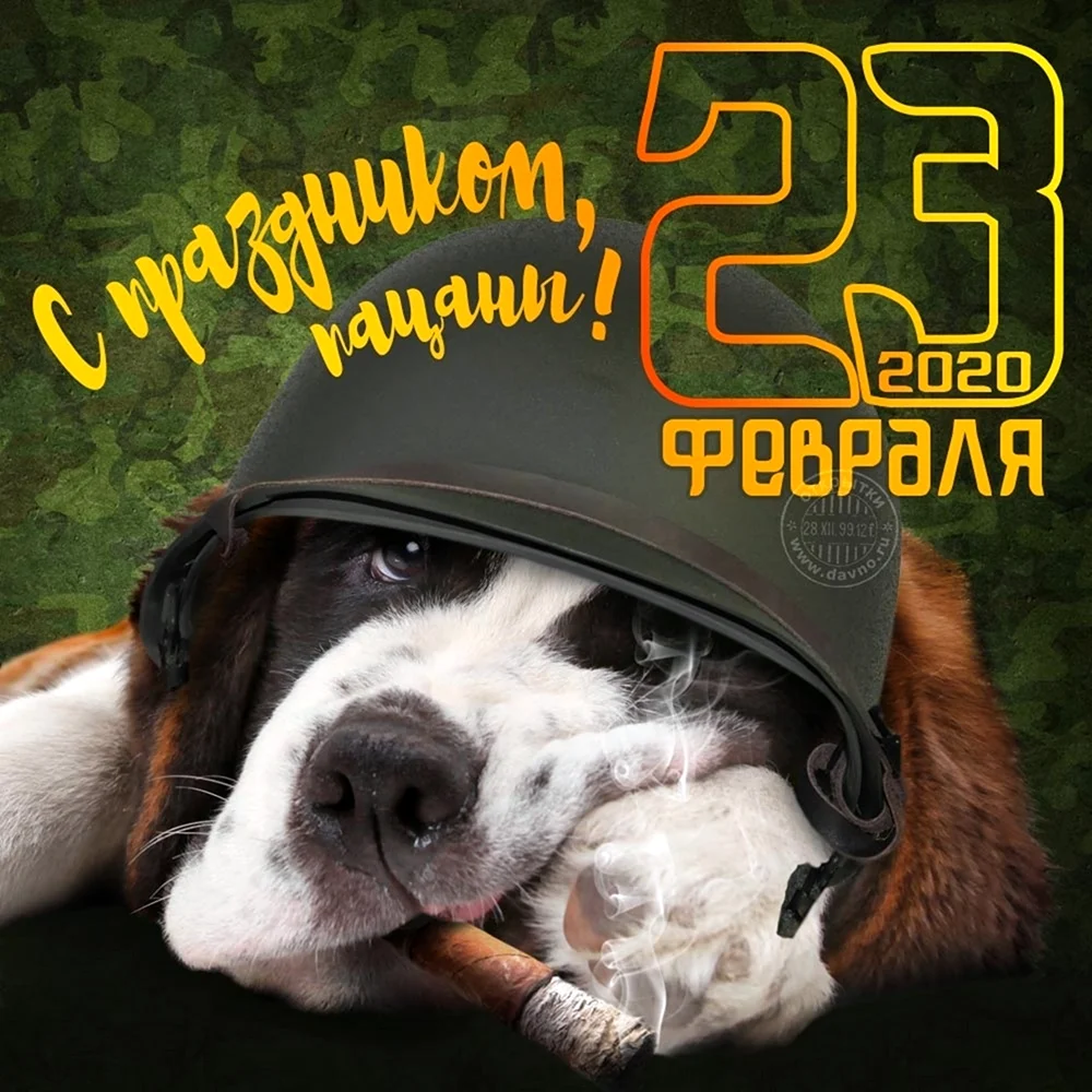 С 23 февраля