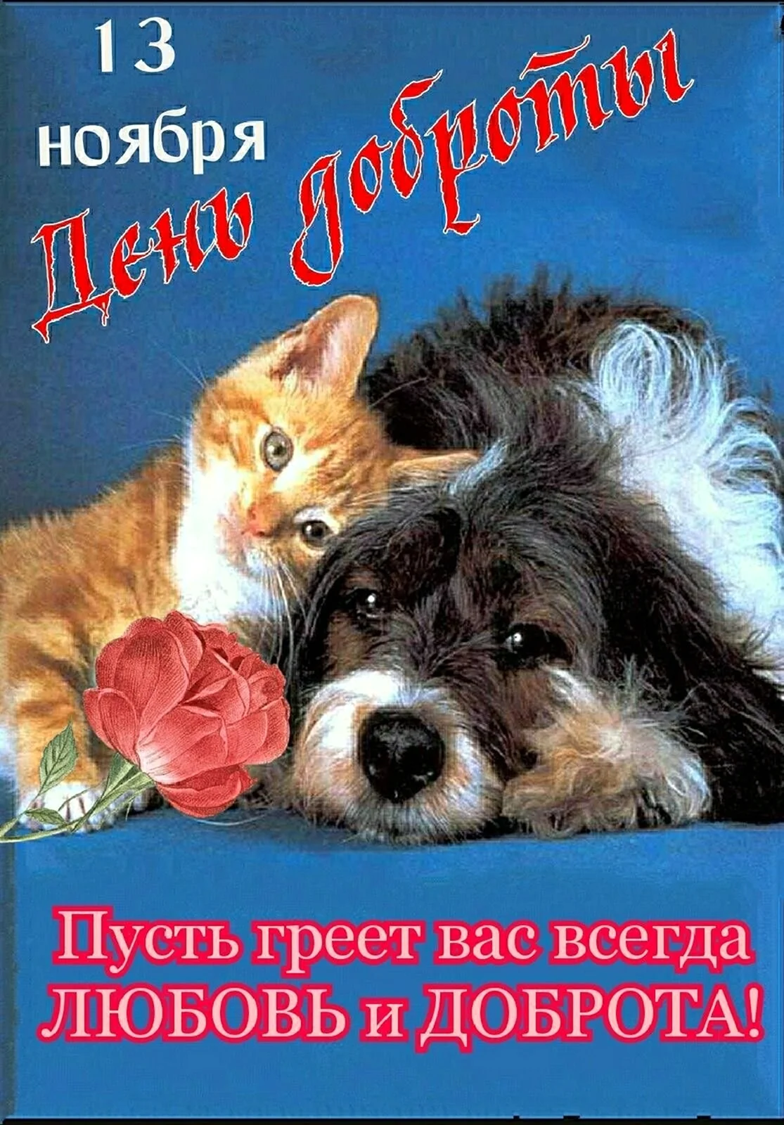 С днем доброты