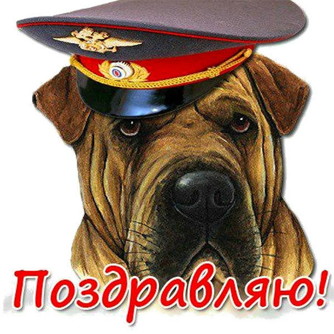 С днем милиции