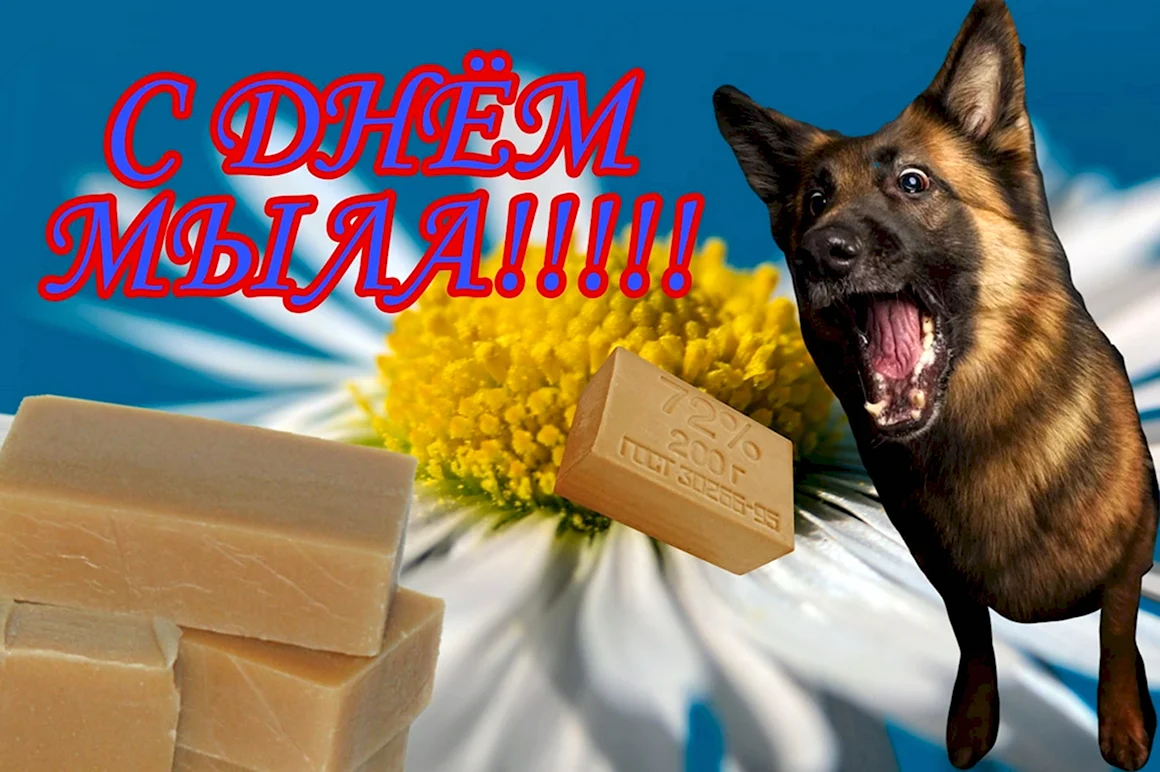 С днем мыла