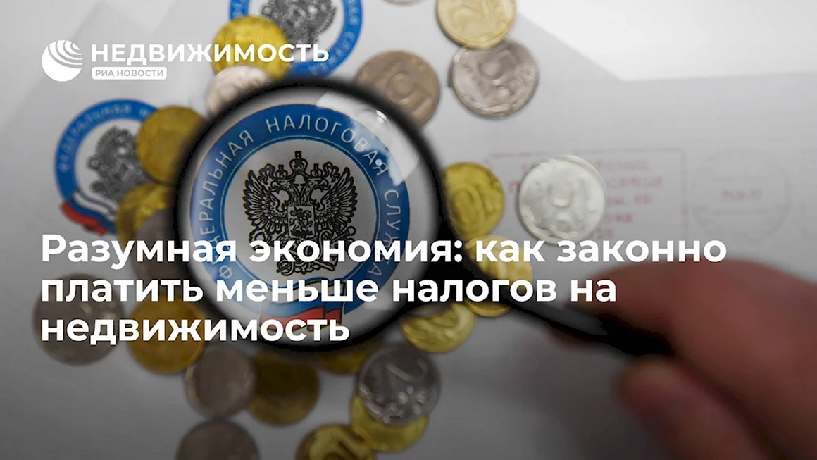 С днем налоговой