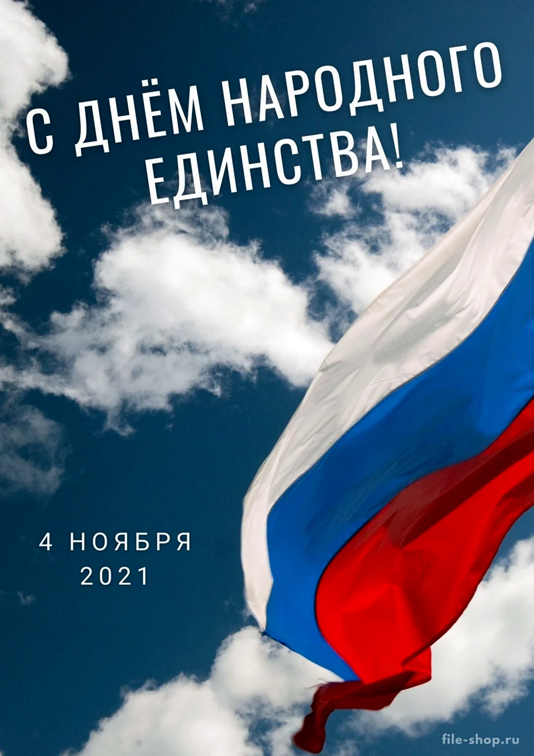 С днем народного единс ва