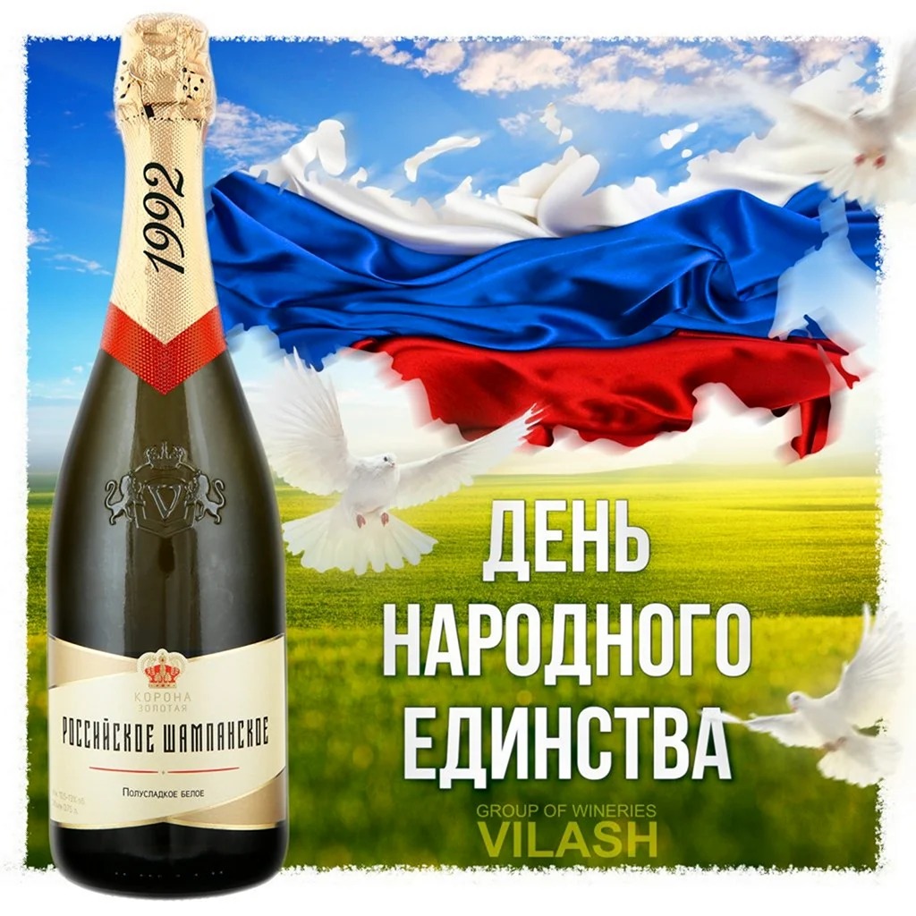 С днем народного единства прикольные