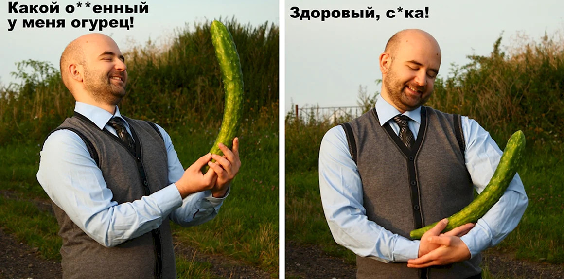 С днем огурца мемы