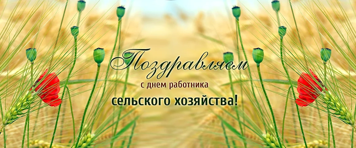 С днем работника сельского хозяйства