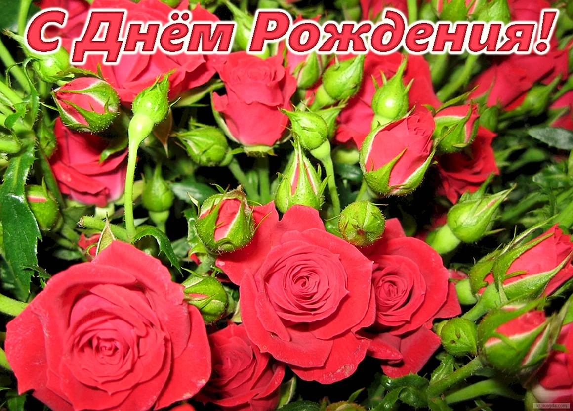 С днем рождения