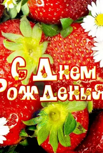 С днем рождения