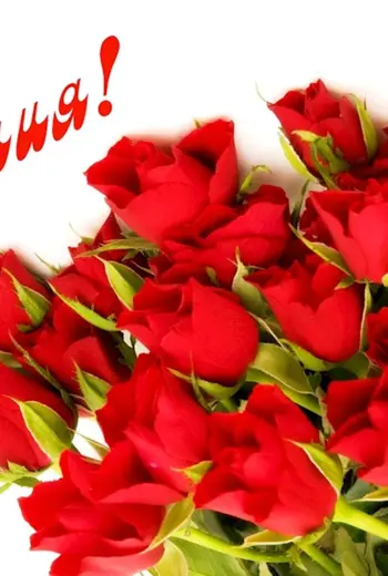 С днем рождения