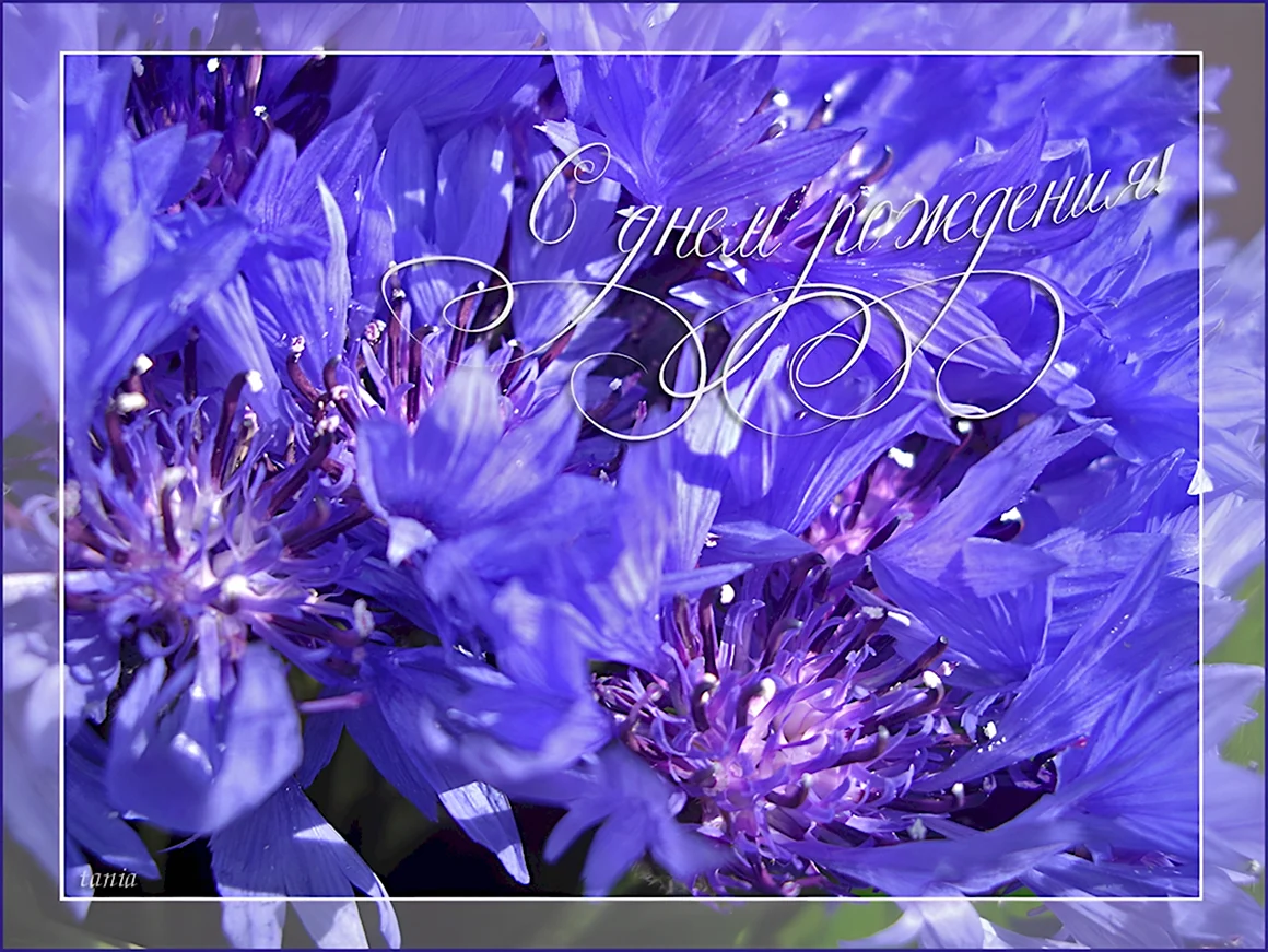 С днем рождения