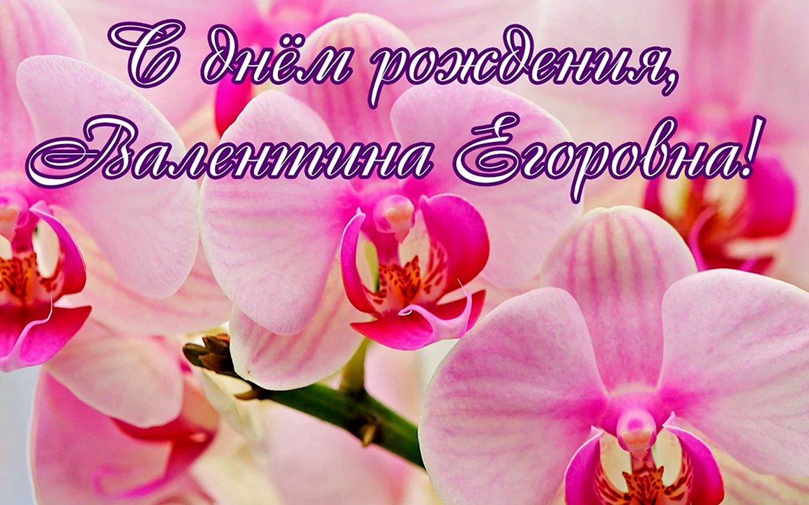 С днем рождения