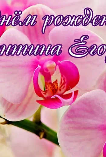 С днем рождения