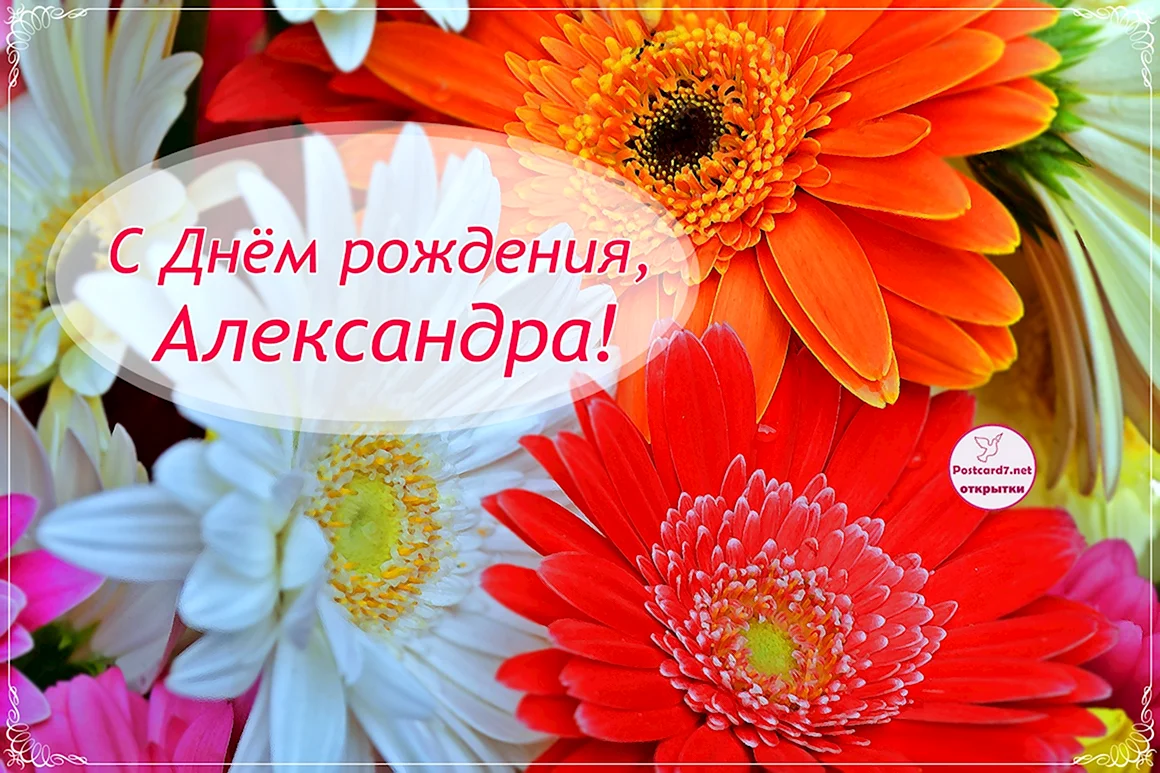 С днём рождения Алеесандра