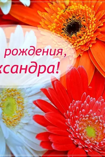 С днём рождения Алеесандра