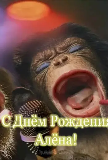 С днем рождения Алена