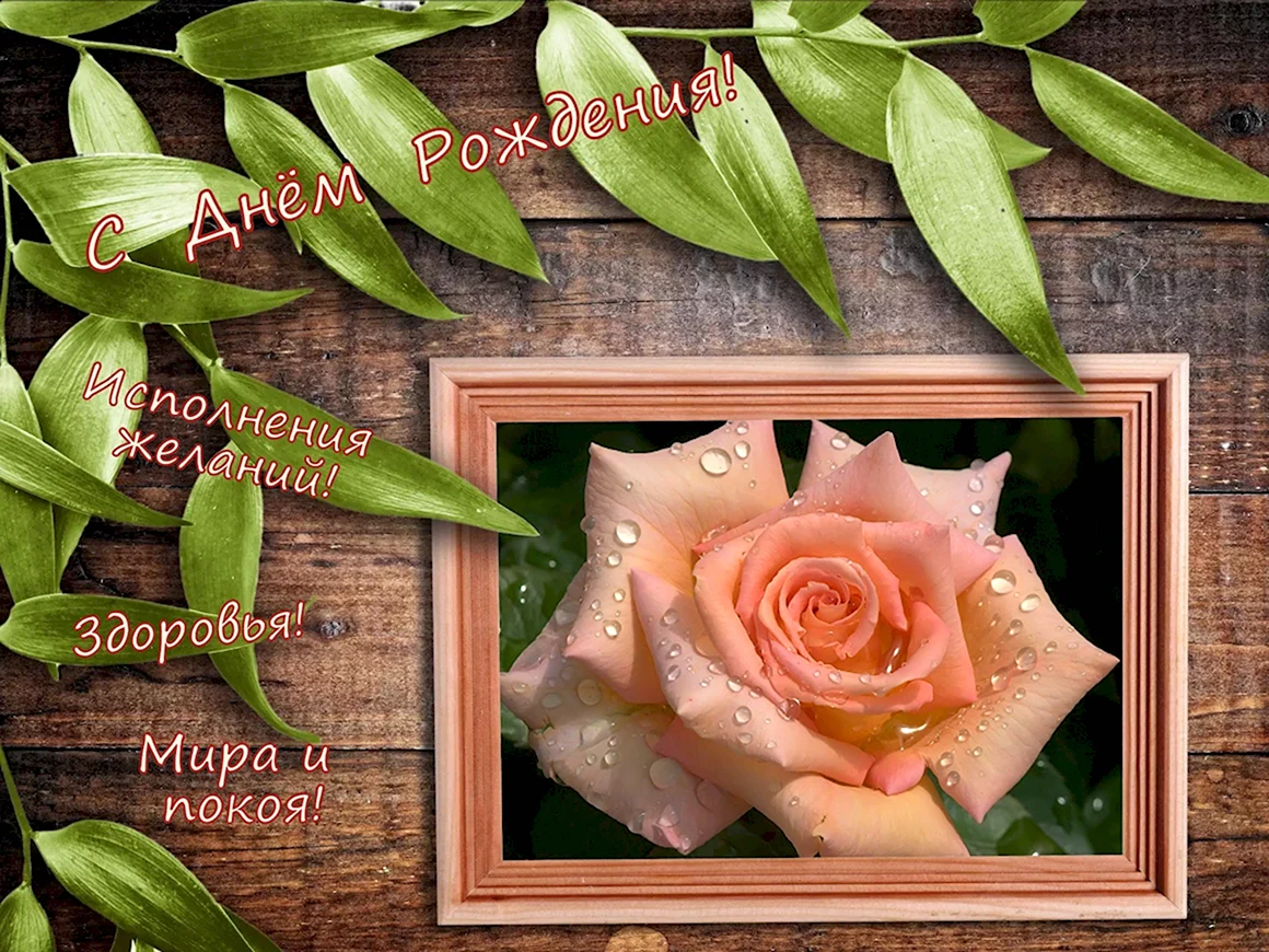 С днем рождения Алена
