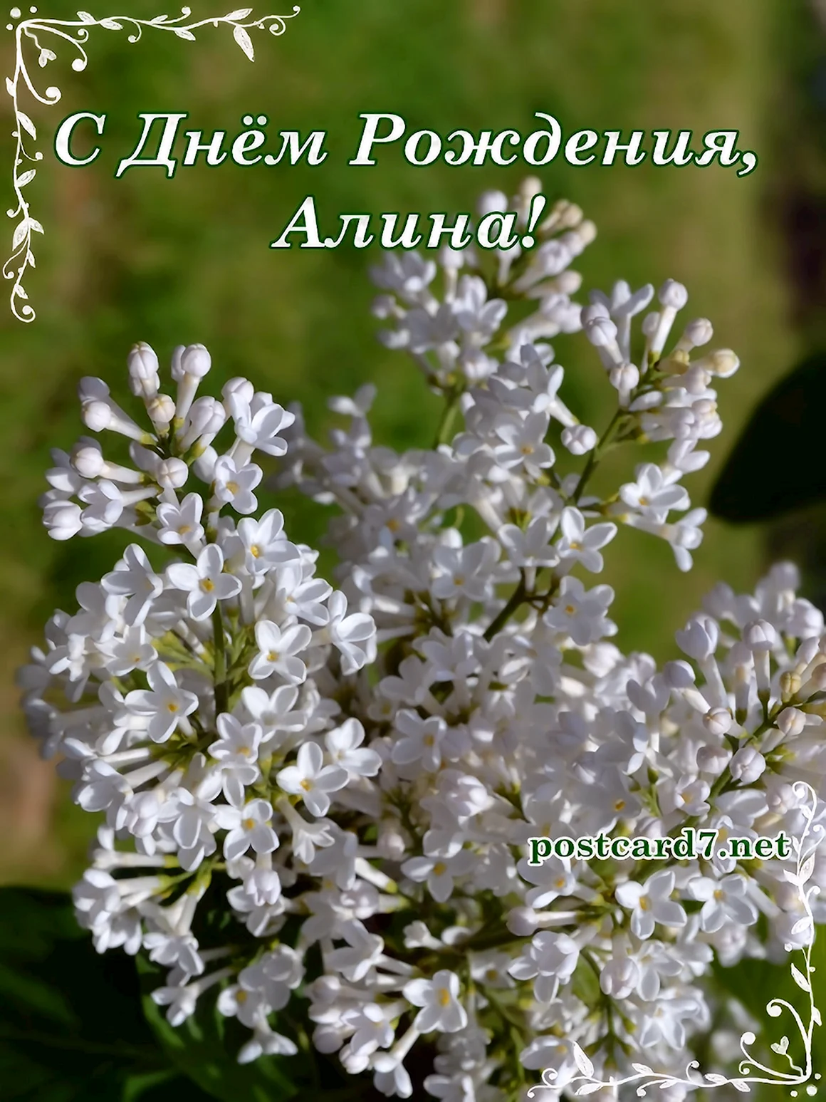С днём рождения Алина