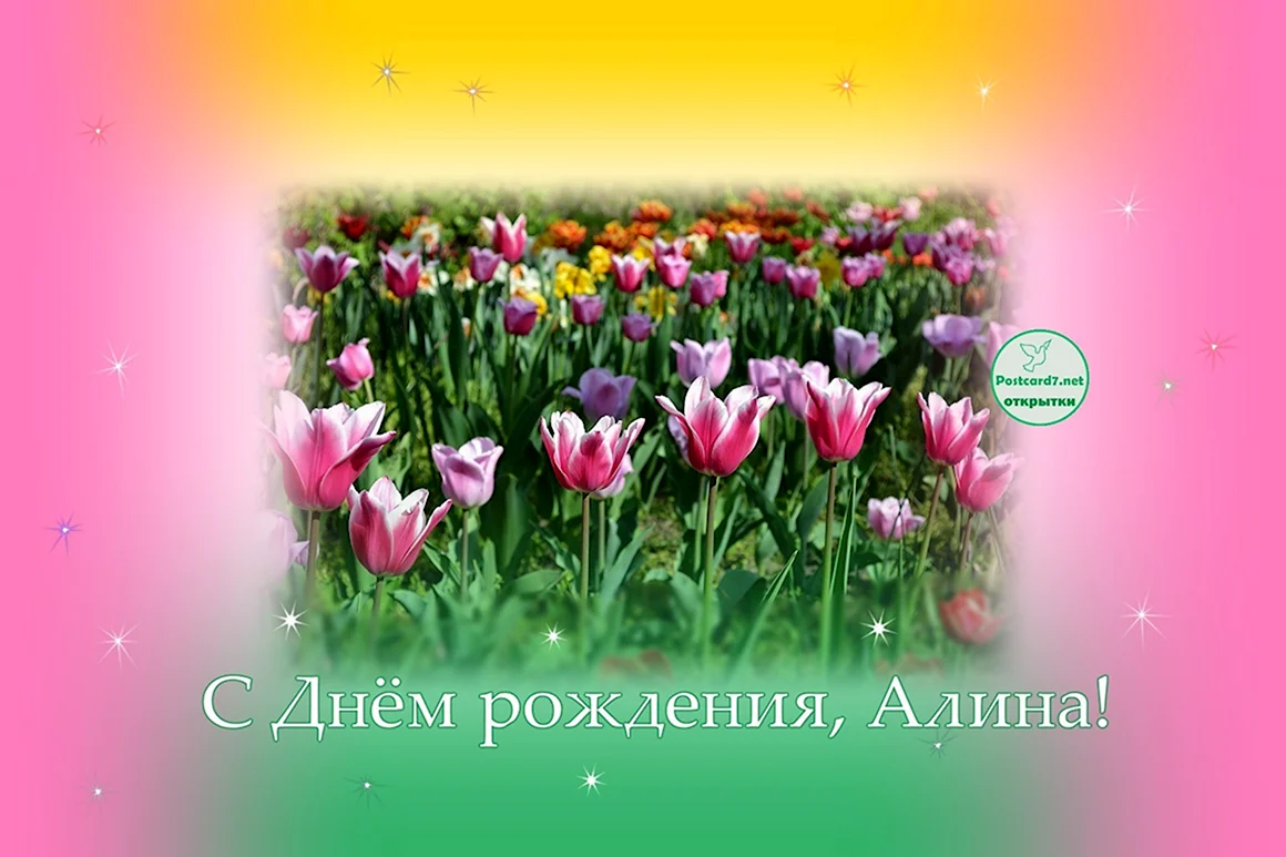 С днём рождения Алина