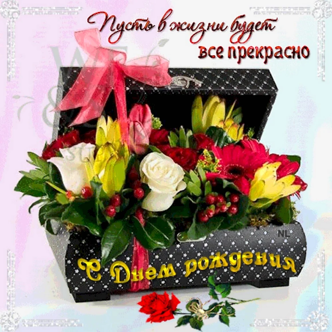 С днём рождения Ася