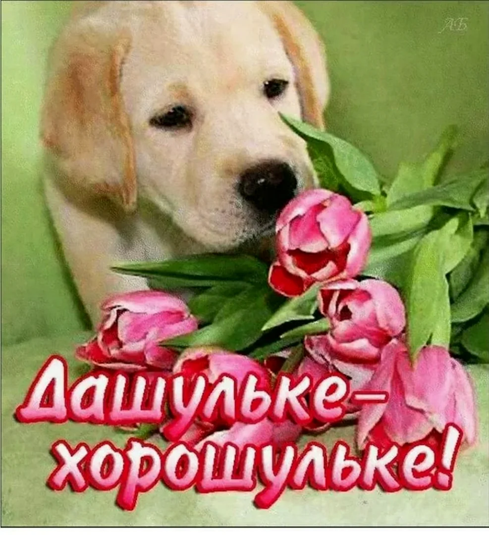 С днём рождения Даша